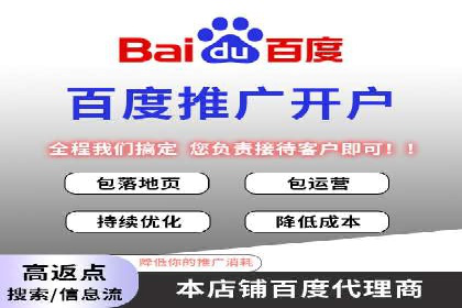百度平台推广策略及成功案例解析